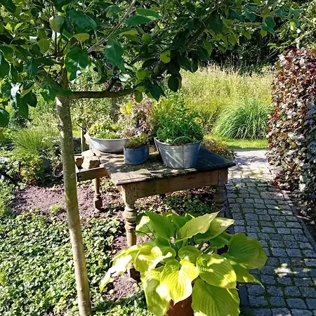 Klause Am Grünen Hof Apartamento Friesoythe