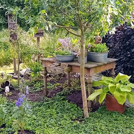 Klause Am Grünen Hof Friesoythe