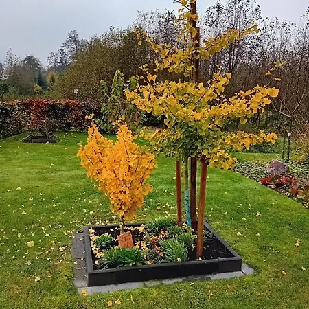 Klause Am Grünen Hof Apartamento *